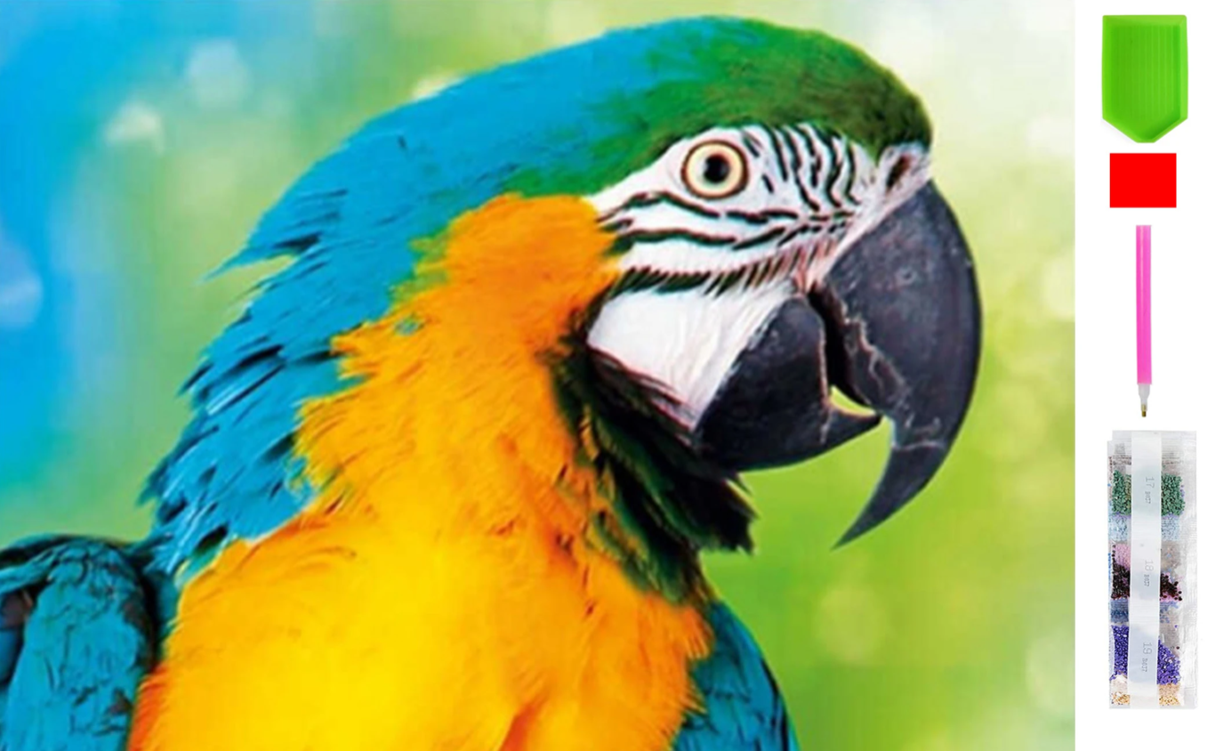 1bfbd94b2cc415f9689c4487ace99504 1bfbd94b2cc415f9689c4487ace99504